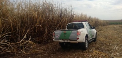 Usina é multada em mais de R$ 250 mil por queima ilegal de cana-de-açúcar em Queiroz