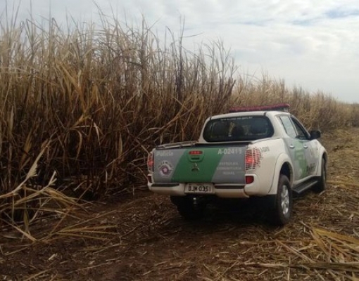 Policiais ambientais foram atender um ocorrência de queimada em Queiroz (Foto: Polícia Ambiental / Divulgação