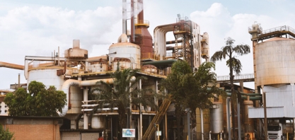 Diana Bioenergia alcança recorde de moagem de cana em julho