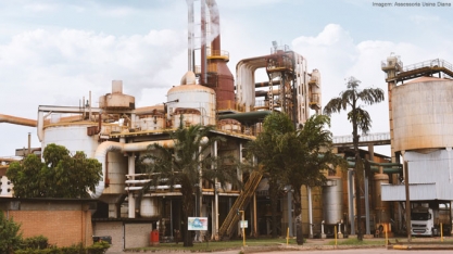 Diana Bioenergia alcança recorde de moagem de cana em julho