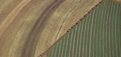 Polo Ribeirão Preto da Biosev tem crescimento de 10% no volume de moagem no primeiro trimestre da safra 2017/2018