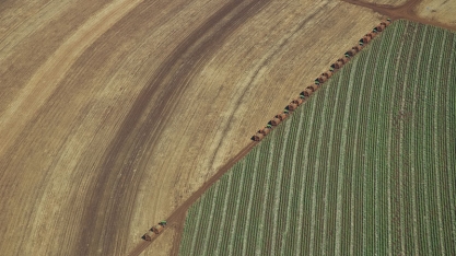 Polo Ribeirão Preto da Biosev tem crescimento de 10% no volume de moagem no primeiro trimestre da safra 2017/2018