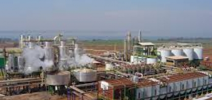 Guarani deve moer 20 milhões de toneladas de cana em 2017/18