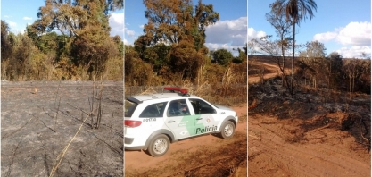 Queimada de palha de cana atinge área de preservação e rende multa de quase R$ 900 mil