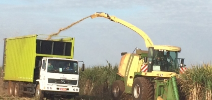 Usina Santa Fé inicia colheita de cana energia