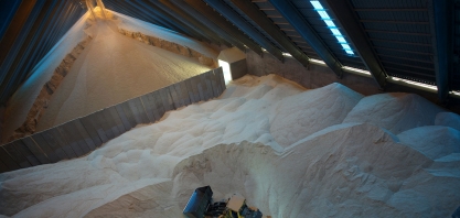 Benefício de investimento em usinas não deve ser no curto prazo, diz Cofco