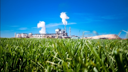 São Fernando: Tribunal de Justiça revoga liminar de grupo de credores