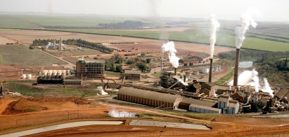 Usina São Martinho comemora o melhor ano de sua história