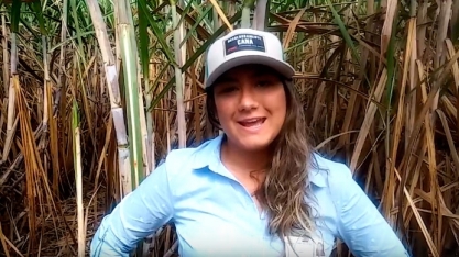 USINA SANTA FÉ SE IMPRESSIONA COM PODER DE NEMATICIDA