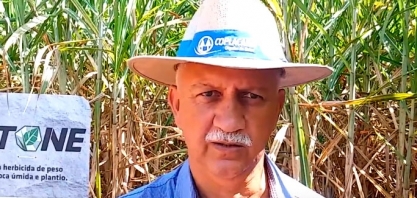 TÉCNICO AGRÍCOLA DÁ DICAS SOBRE COMO CONTROLAR CORRETAMENTE AS PDs