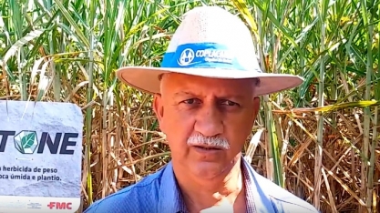 TÉCNICO AGRÍCOLA DÁ DICAS SOBRE COMO CONTROLAR CORRETAMENTE AS PDs