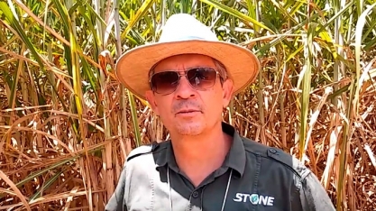 ÓTIMA OPÇÃO PARA PERÍODOS ÚMIDOS, HERBICIDA STONE FAZ SUCESSO NA REGIÃO DE PIRACICABA