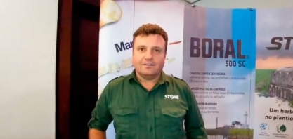 Como proteger a cana das plantas daninhas quando ela precisa de mais proteção: no período úmido