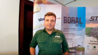 Como proteger a cana das plantas daninhas quando ela precisa de mais proteção: no período úmido