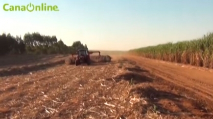 ALEIRAMENTO DE PALHA DE CANA PARA PRODUÇÃO DE ENERGIA ELÉTRICA