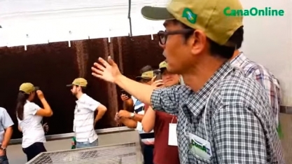 CURSO DE MPB DO IAC 5 -- Casa de vegetação climatizada