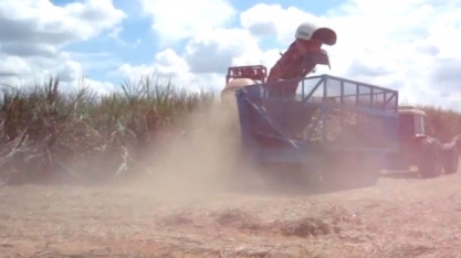 TRITURAR DE PALHA MONTADO EM COLHEDORAS DE CANA É APOSTA DA CTBE
