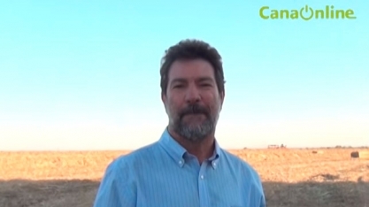 O MANEJO DO RECOLHIMENTO DA PALHA DA CANA PARA PRODUÇÃO DE ENERGIA PELA AGRÍCOLA RIO CLARO