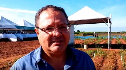 VOCÊ APLICA QUALQUER HERBICIDA EM CIMA DA SUA MPB?