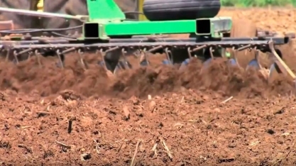 AMPLIGO É A NOVA SOLUÇÃO DA SYNGENTA PARA O CONTROLE DA BROCA DA CANA