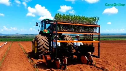 PLANTIO MECANIZADO DO PLENE PB