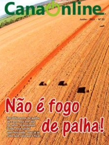 Edição 22 - Portal CanaOnline - Junho 2015