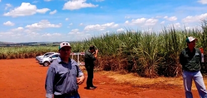 Usina da Pedra aprova Stone, novo herbicida da FMC