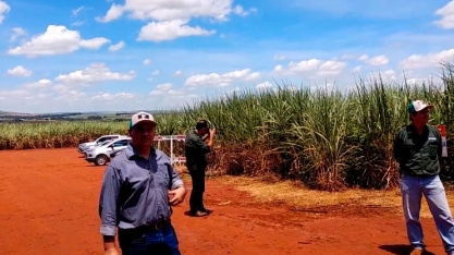 Usina da Pedra aprova Stone, novo herbicida da FMC