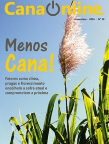 Edição 38 - Portal CanaOnline - Novembro 2016