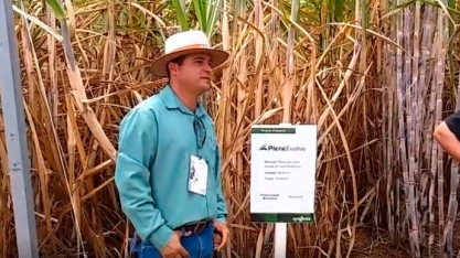 Não é passe de mágica! Plene PB entrega acréscimo de 30 ton/ha