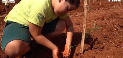 FMC apoia o projeto “Semeando o Verde” da Usina Santa Terezinha