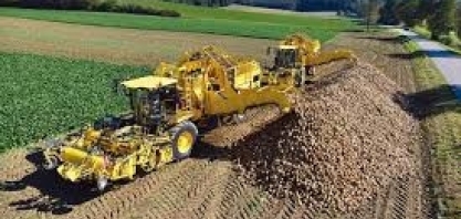 UE encerra cotas para produção de açúcar