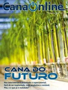 Edição 29 - Portal CanaOnline - Fevereiro 2016