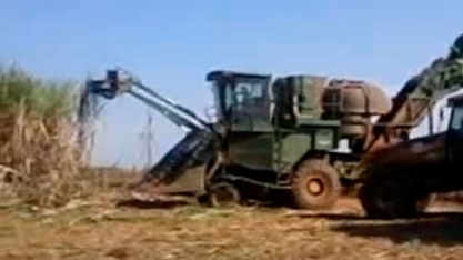 Com oito safras na bagagem, mulher operadora de colhedora busca oportunidade de trabalho
