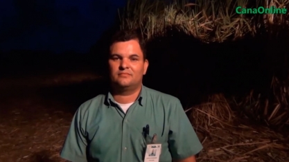 COLHEITA DE CANA CRUA EM ÁREA DE IRRIGAÇÃO POR GOTEJO NA USINA SERESTA