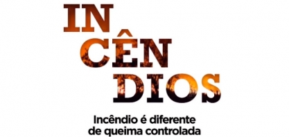 VT 1 TV Campanha Incêndios
