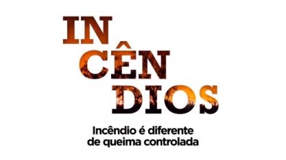 VT 1 TV Campanha Incêndios