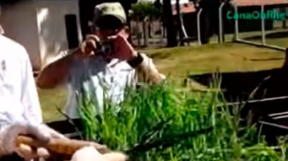 CURSO DE MPB DO IAC 7 -- Repicagem