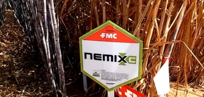 FMC LANÇA SEU MAIS NOVO NEMATICIDA BIOLÓGICO – QUARTZO