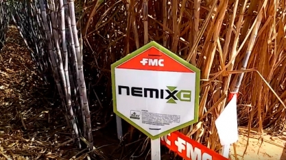 FMC LANÇA SEU MAIS NOVO NEMATICIDA BIOLÓGICO – QUARTZO