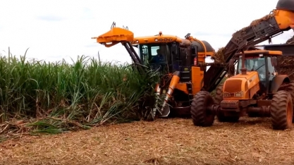 CONFIRA O DESEMPENHO DA BE1035, DA VALTRA, EM UM CANAVIAL EXTREMAMENTE ACAMADO