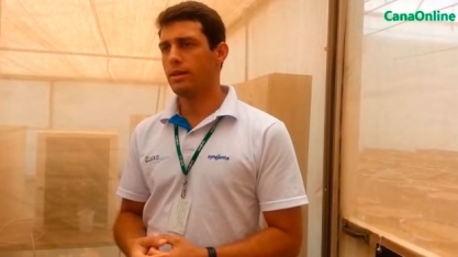 Jardim Clonal - Biofábrica da Syngenta