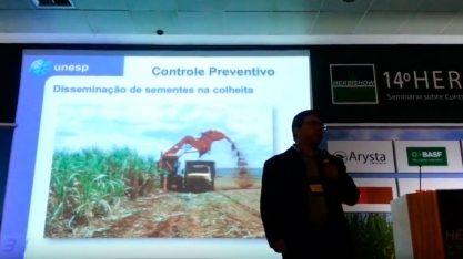 COM A CANA CRUA, O QUE MUDOU NO CONTROLE DE DANINHAS?