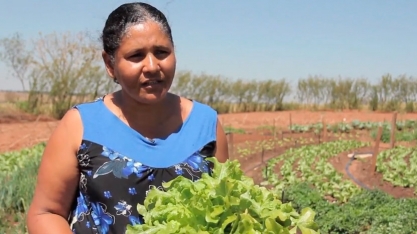Energia Social para Sustentabilidade Local | Hortas Circulares