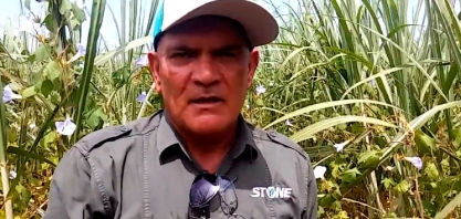 USINA IBÉRIA SOLUCIONA PROBLEMA DE ÁREA INFESTADA POR FEDEGOSO