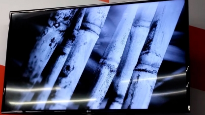 Conheça a primeira colhedora de cana da Valtra