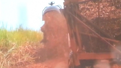 Vídeo sistema de recolhimento e processamento de palha na Usina Pitangueiras