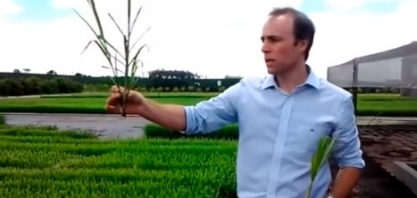 Produção do Plene PB - Biofábrica da Syngenta