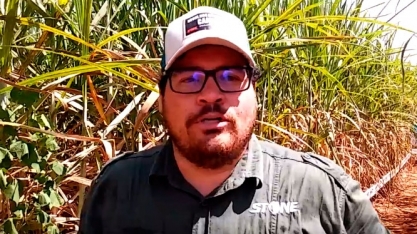 PRODUTOR FAZ TOUR PELO CANAVIAL DURANTE A COPLACAMPO