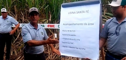 NA USINA SANTA FÉ, NEMATICIDA ENTREGA MAIS PERFILHOS E MENOS FALHAS